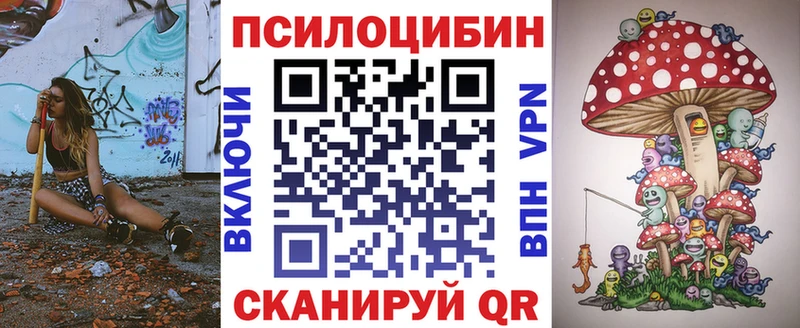 дарнет шоп  Узловая  Псилоцибиновые грибы мицелий 